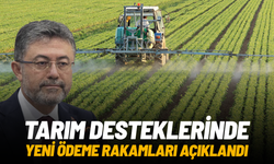 Tarım desteklerinde yeni ödeme rakamları açıklandı