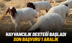 Hayvancılık desteği başladı, son başvuru 1 Aralık