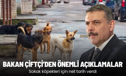 Bakan Çiftçi'den önemli açıklamalar: Sokak köpekleri için net tarih verdi