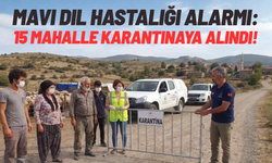 Mavi dil hastalığı alarmı: 15 mahalle karantinada!