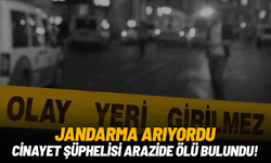 Jandarma arıyordu: Cinayet şüphelisi arazide ölü bulundu!
