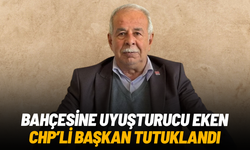 Bahçesine uyuşturucu eken CHP'li başkan tutuklandı