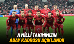 SON DAKİKA... A Milli Takım kadrosu açıklandı