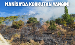 Yol kenarında başlayan yangın ormanlık alana sıçradı