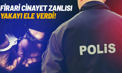 Firari cinayet zanlısı jandarmaya yakalandı!