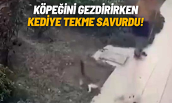Köpeğini gezdiren şahıs kediyi teklemedi!