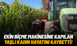 Manisa'da ekin biçme makinesine kapılan yaşlı kadın hayatını kaybetti