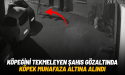 İzmir’de köpeğini tekmeleyen şahıs gözaltına alındı
