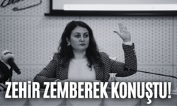 Özge Arslan’dan görevden alınmasına ilişkin açıklama