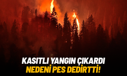 Kasıtlı yangın çıkardı: Sebebi pes dedirtti