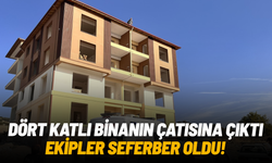 Dört katlı inşaatın çatısına çıktı, ekipler seferber oldu