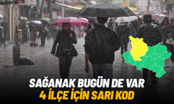 Manisa'da 4 ilçe için sarı kodlu uyarı!