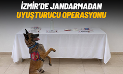 İzmir’de jandarmadan uyuşturucu operasyonu