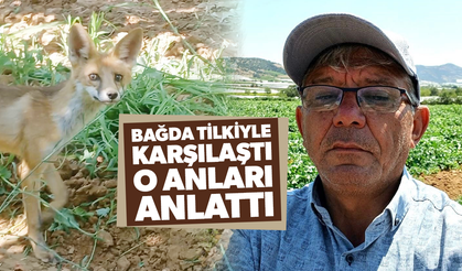 Tilkiyle göz göze geldi konuşarak uğurladı