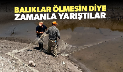 Balıklar ölmesin diye zamanla yarıştılar