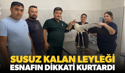 Susuz kalan leyleği esnafın dikkati kurtardı