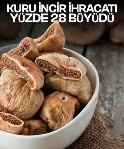 Kuru incir ihracatı yüzde 28 büyüdü