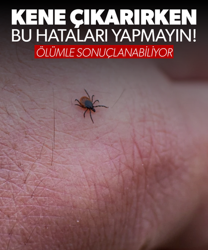 Kene çıkarırken yapılan hatalar ölümle sonuçlanabiliyor