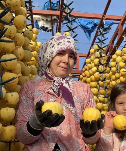 Alaşehir’de ilk kez ’Cennet Hurması Festivali’ düzenlenecek
