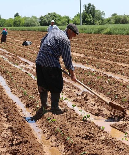 Büyükşehir'den çiftçiye destek eli