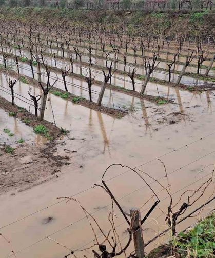 Sarıgöl'de bereketli yağmurlar yüzleri güldürdü