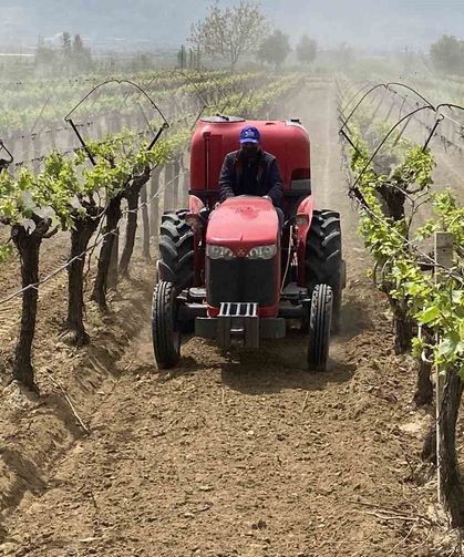 Alaşehir'de '3K Bağcılık' ile kalıntısız üretim başladı