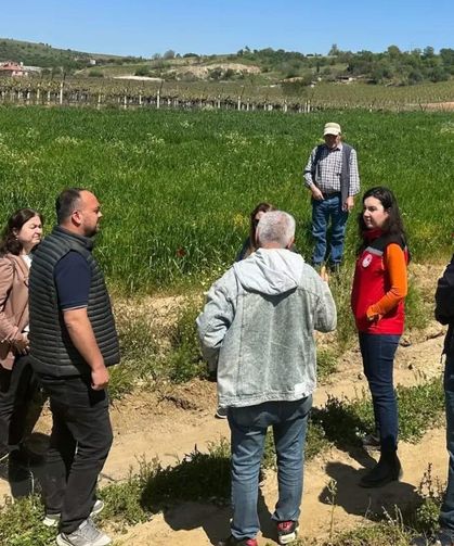 Sarıgöl'de incir hamlesi