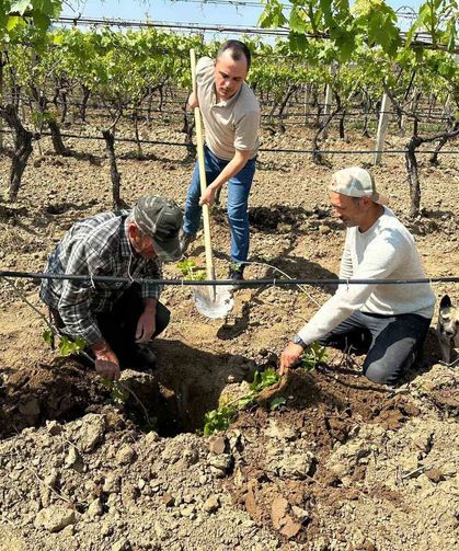 TARİŞ'ten bağlara yakın takip