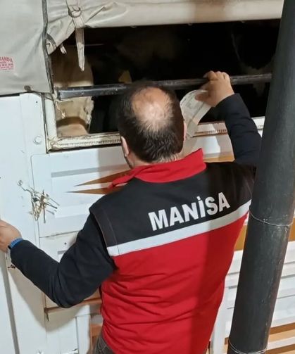 Salihli'de kurbanlık nakli yapan araçlara sıkı denetim