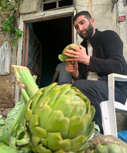 Enginar soyarak ayda 240 bin lira kazanıyor