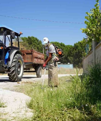 Karaali'de yol kenarları temizlendi