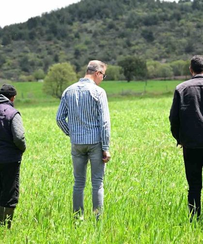 Manisa Büyükşehir'in toprakla buluşan tohumları yeşerdi