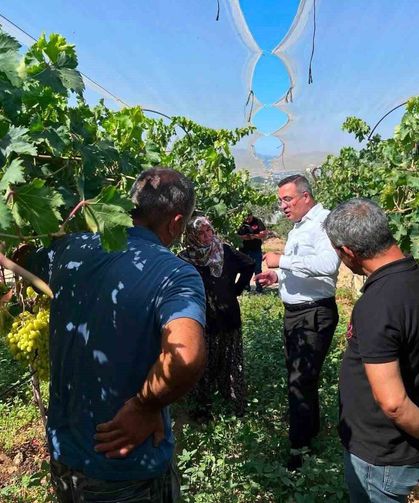Kaymakam Dalak'tan üzüm üreticisine moral ziyareti