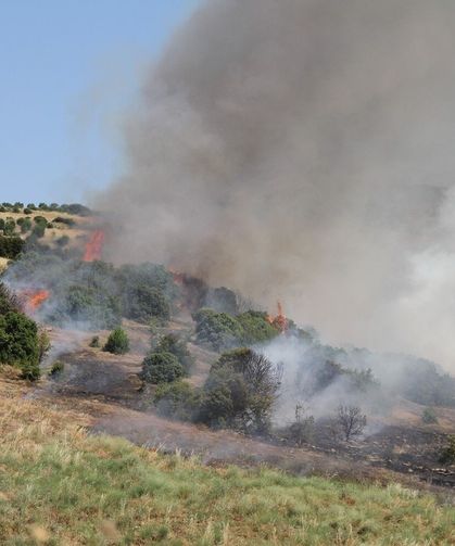 Mahalle ekipleri 28 yangını büyümeden durdurdu