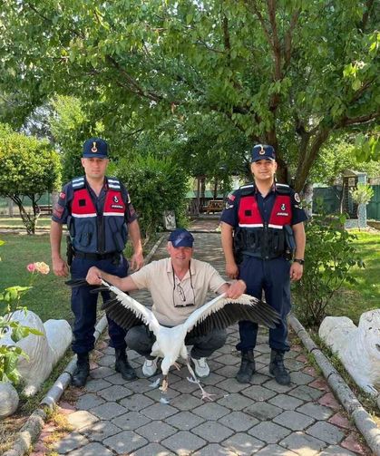 Yaralı leylek için seferber oldular