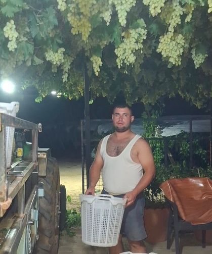 Sarıgöl'de üzüm için gece mesaisi