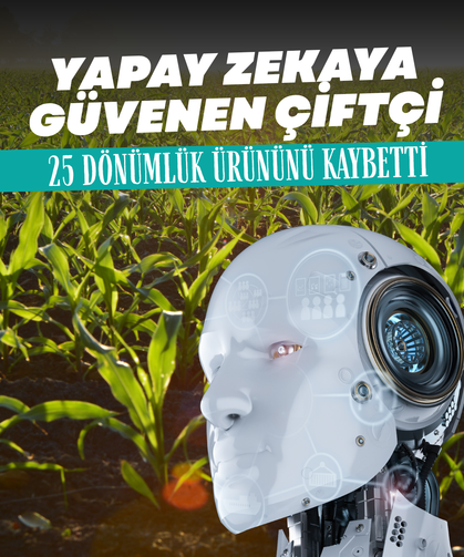 Yapay zekaya güvenen çiftçi 25 dönümlük ürününü kaybetti