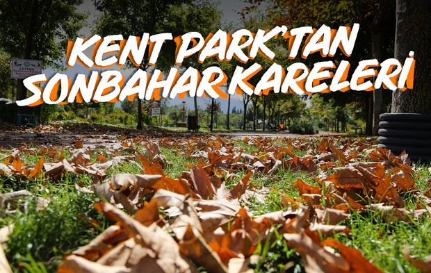 Kent Park'tan sonbahar kareleri...