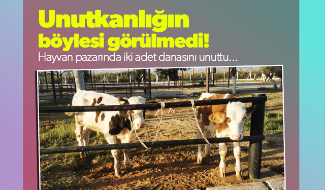 Unutkanlığın böylesi görülmedi!