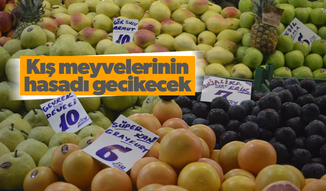 Kış meyvelerinin hasadı gecikecek