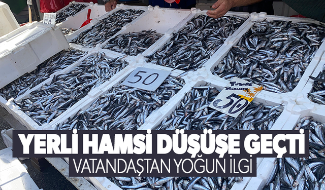 Yerli hamsi düşüşe geçti, vatandaş yoğun ilgi gösterdi