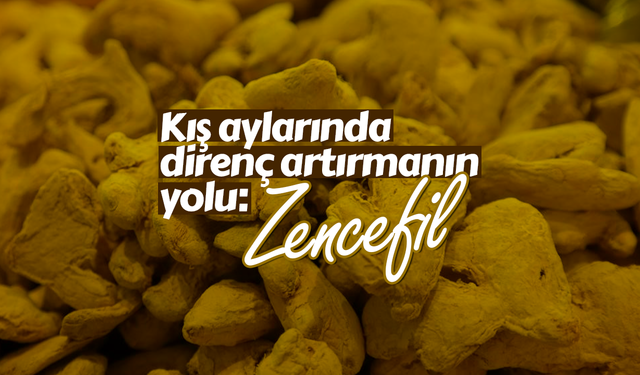 Kış aylarında direnç artırmanın yolu: Zencefil