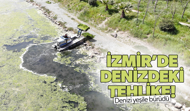 Çakalburnu Dalyanı’nda deniz marulu tehdidi