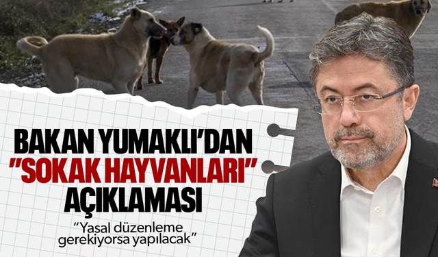 Bakan Yumaklı’dan "sokak hayvanları" açıklaması!