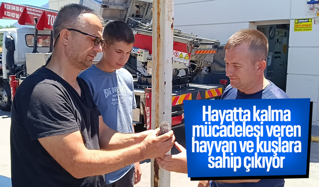 Hayatta kalma mücadelesi veren hayvan ve kuşlara sahip çıkıyor