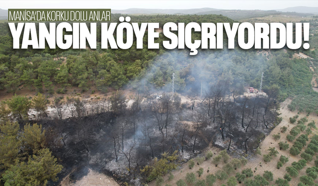 Orman yangını köye sıçramadan kontrol altına alındı