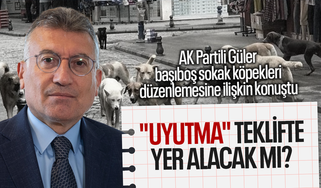 Abdullah Güler başıboş sokak köpekleri düzenlemesine ilişkin konuştu