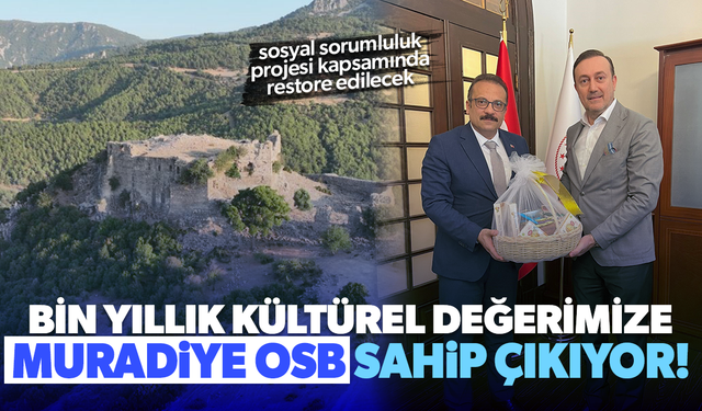 Yoğurtçu Kalesi, Muradiye OSB sayesinde hakettiği değere kavuşacak