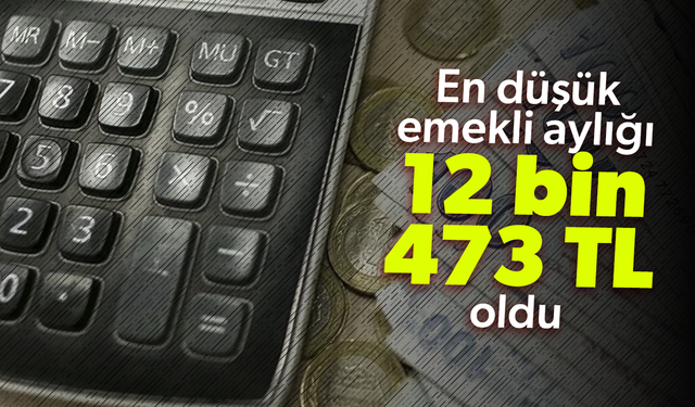 Emekli maaşlarının Temmuz 2024 zam oranı netleşti... Yüzde 24,73