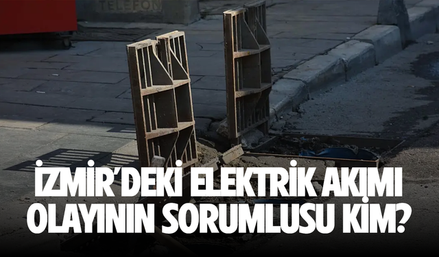 İzmir'deki Elektrik Akımı Olayının Sorumlusu Kim?